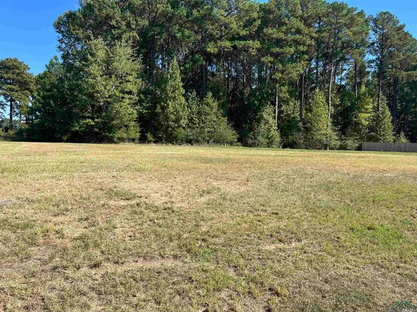 LOT 1 Molly Maye Dr, Marshall, TX 75672