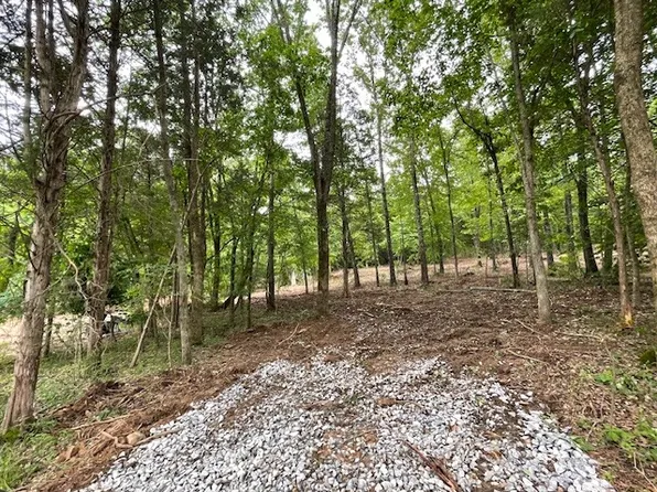3 Chapel Hill Rd Lot 3, Southside, TN 37171