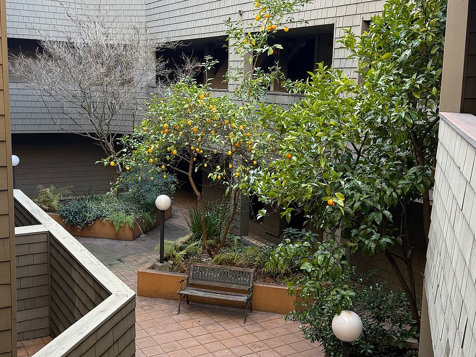 Outdoor courtyard with lemon tree