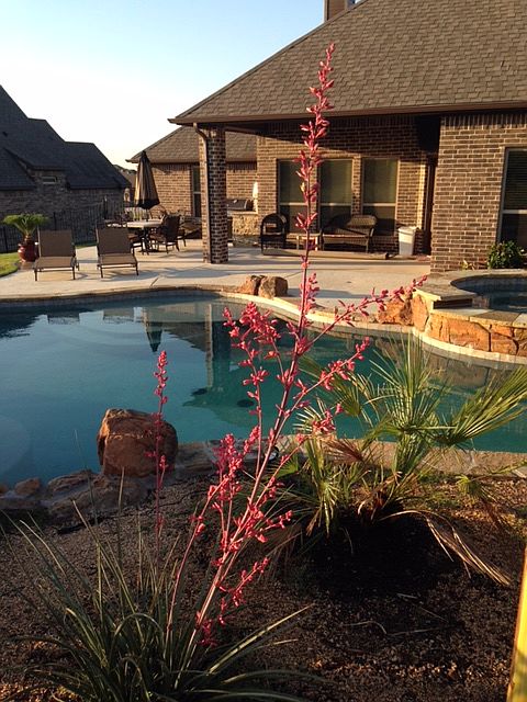 2nd image of 11028 Owl Creek Dr