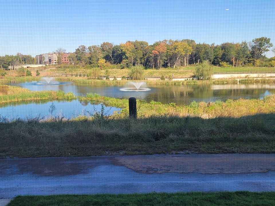 Water Front