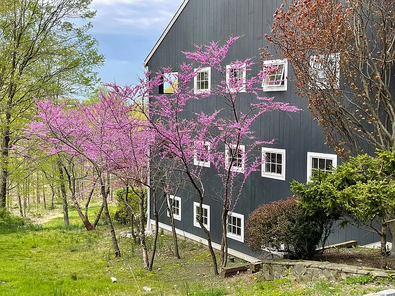 58 Wells Hill Rd — Photo 31