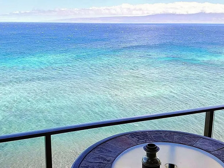 Window View