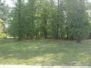1st image of 33643 Saint Francis Dr