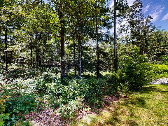 3rd image of 0 Ridgewood Dr Lot 17