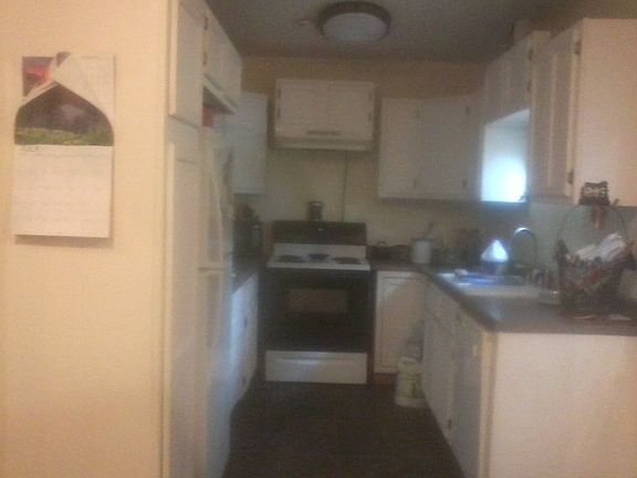 kitchen (cabinets need work)