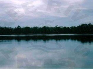 40 Windy Point, Belhaven, NC 27810