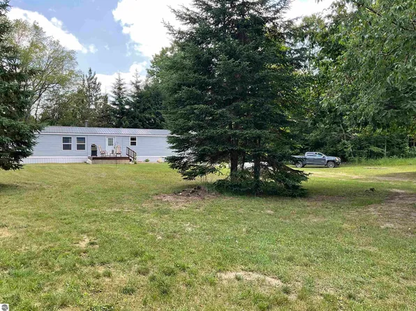 10694 Freeman Rd, Mesick, MI 49668