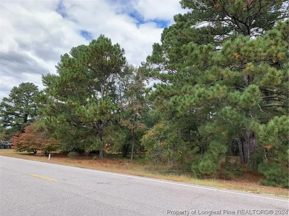 Clinton Rd, Stedman, NC 28391