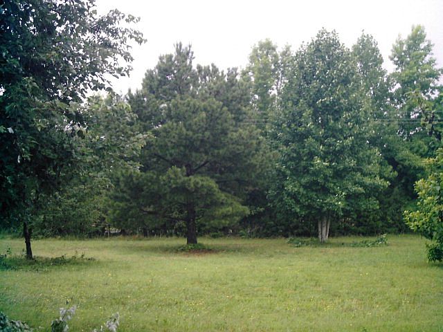 2nd image of 14883 Old Cox Rd