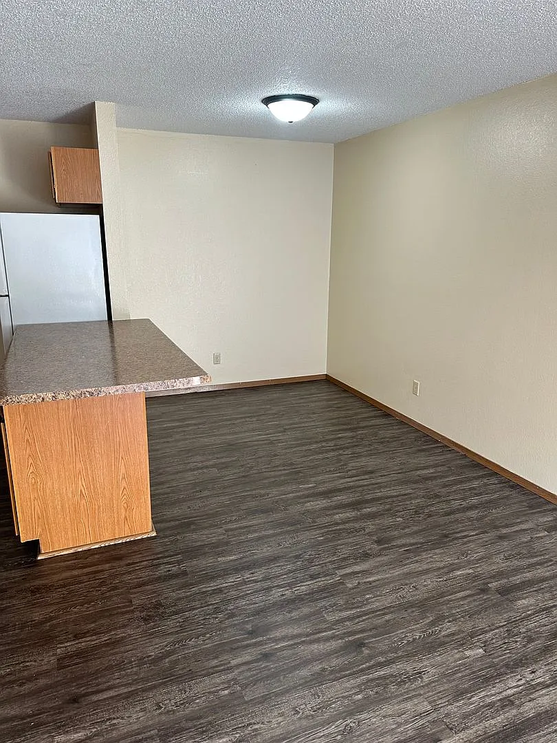 Move In Special $1150.00 4 Bedroom Apartment — Photo 4