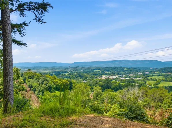 0 Pete Graham Rd, Jasper, TN 37347