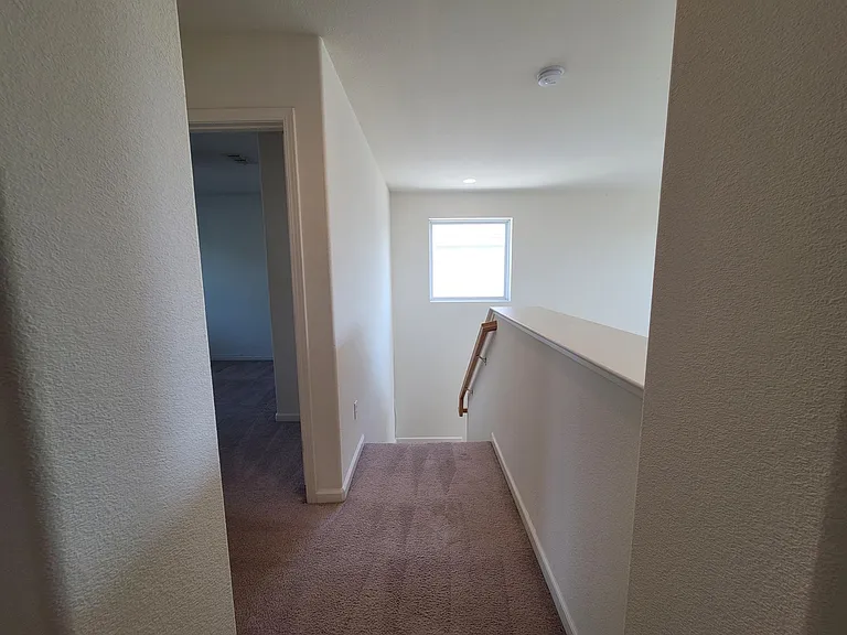 415 Zinnia Ct — Photo 23