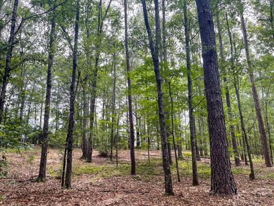 0 Terrell Rd, Greenville, GA, 30222