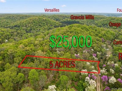 Copperhead Holler, Roach, MO, 65787