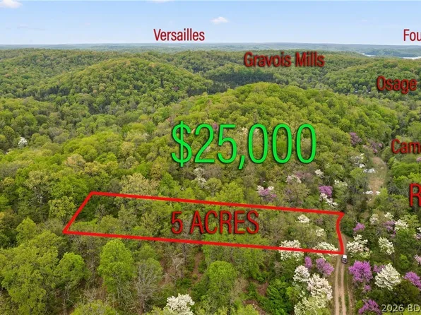 Copperhead Holler, Roach, MO 65787