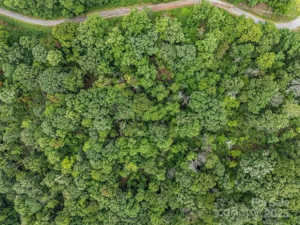 0 Peartree Dr #526, Lake Lure, NC 28746