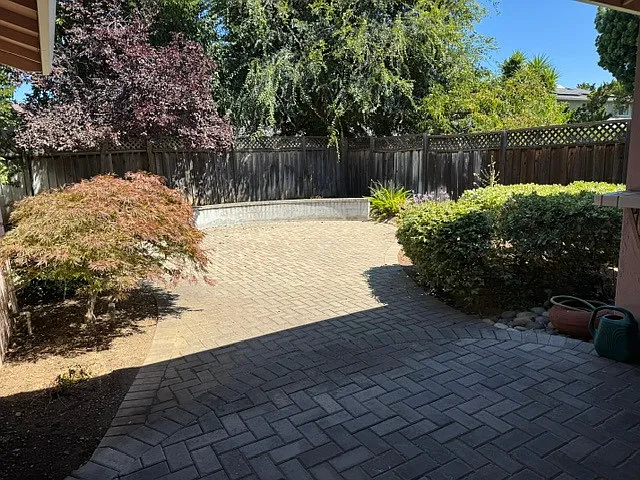 Backyard View from Family Room