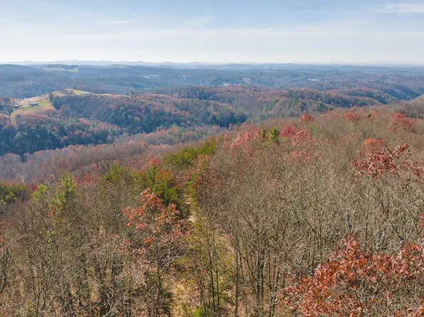 Tbd Pleasant View Rd, Austinville, VA 24312