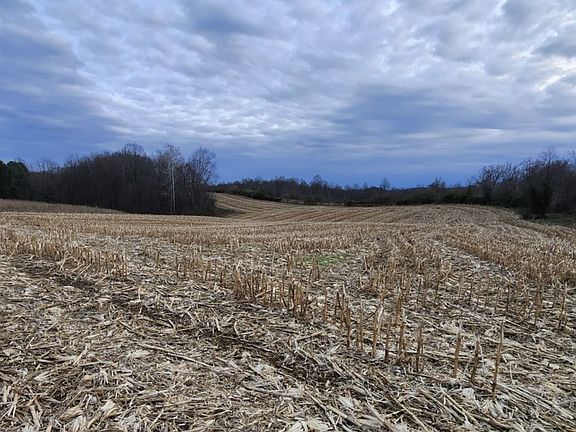 3rd image of Morning Star Rd