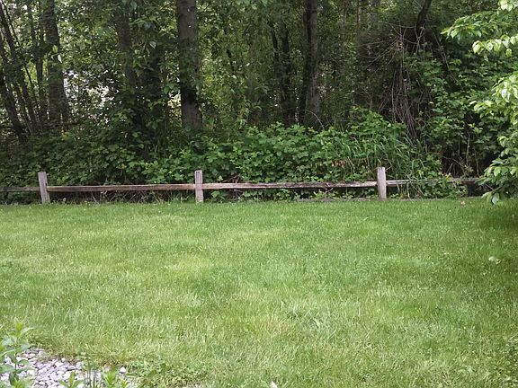 Back yard bordering green belt