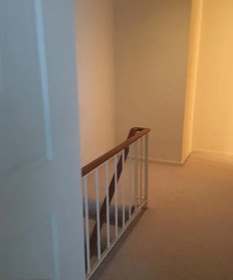 7330 Beulah St — Photo 14