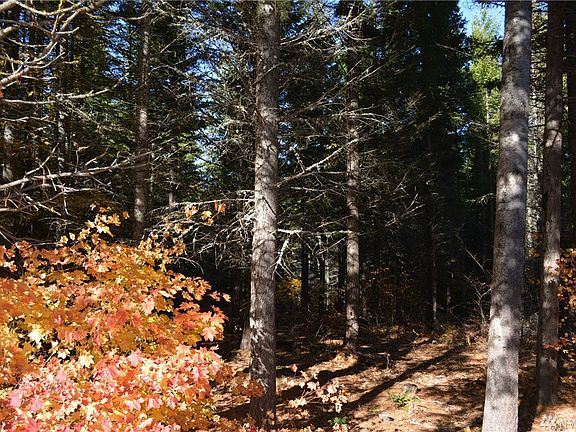 4th image of 61 Goat Creek Ln