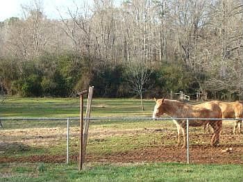 4th image of 3354 Meredith Country Rd