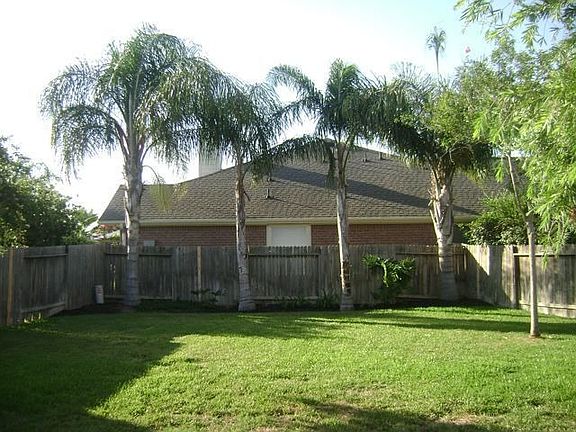 Large backyard with mature palms