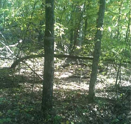 4th image of 255 Barker Dr