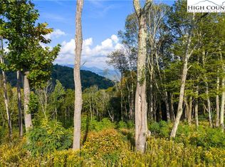 146 Banner Grande Ln, Banner Elk, NC 28604