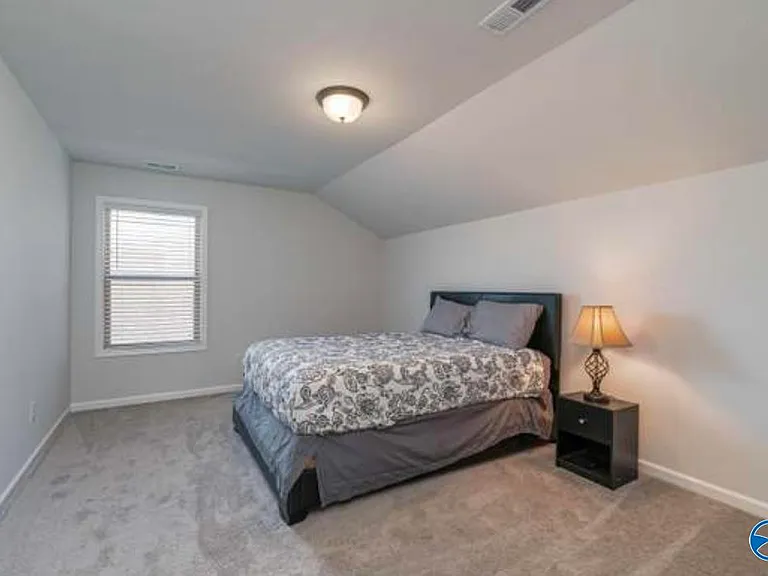 123 Holly Fern Dr — Photo 19
