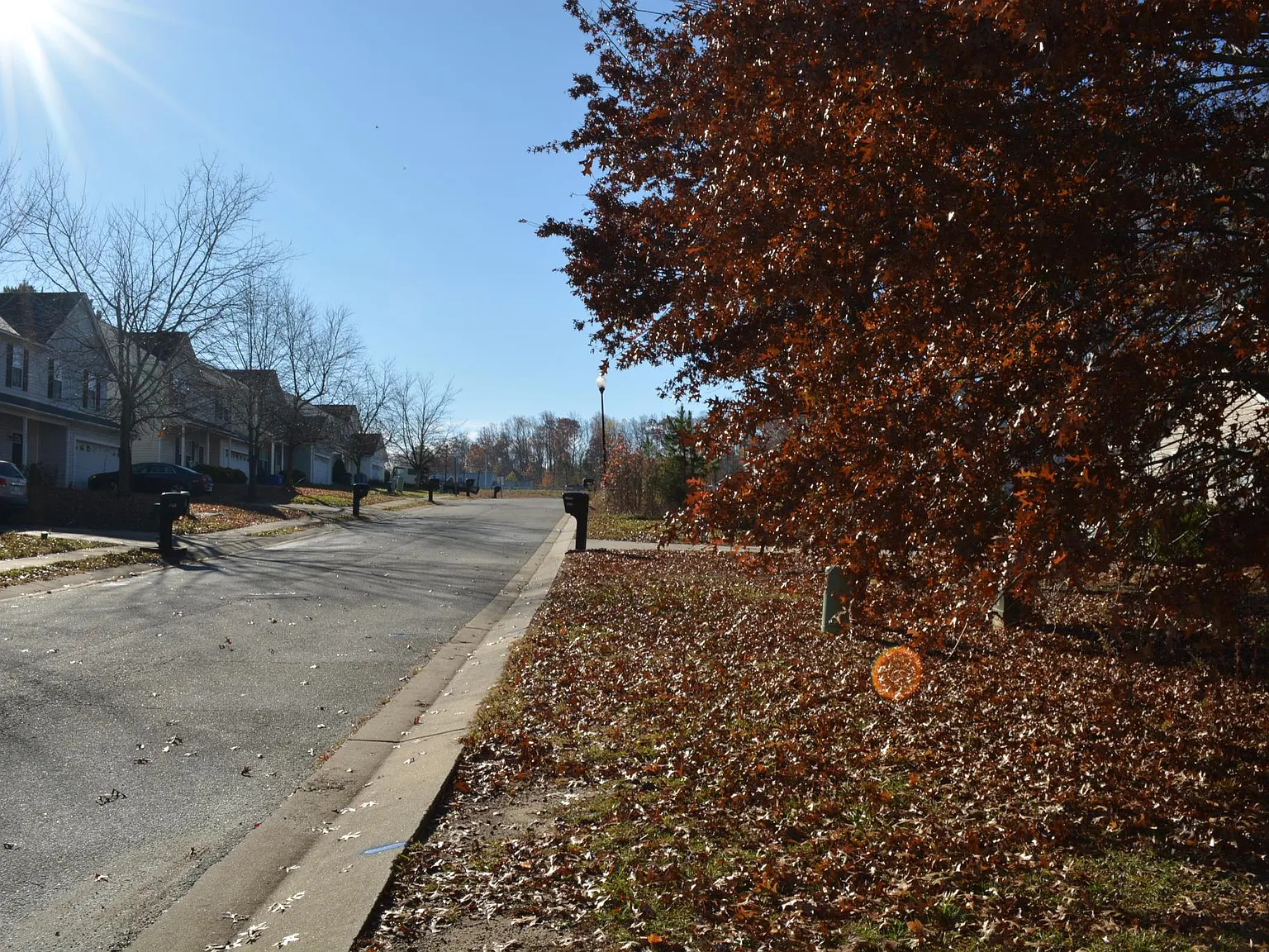 3 bed, 1410 sqft, $1,450 — Photo 4