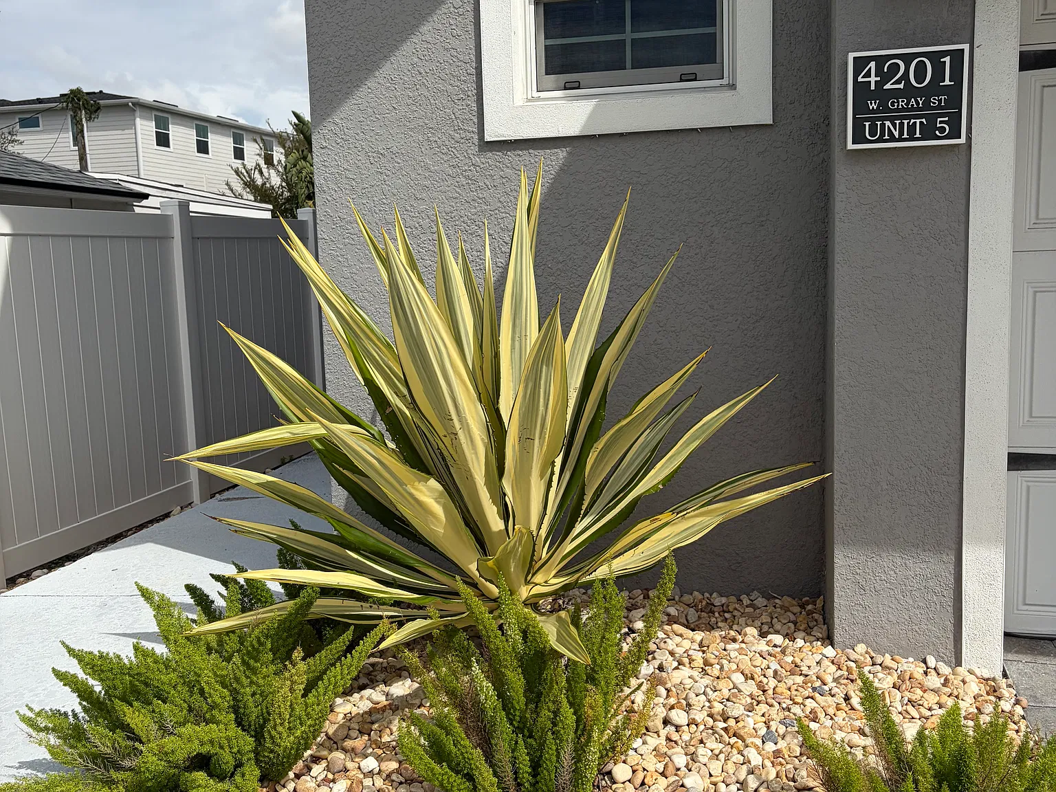 3 bed, 2.5 bath, 1816 sqft, $4,200 — Photo 3