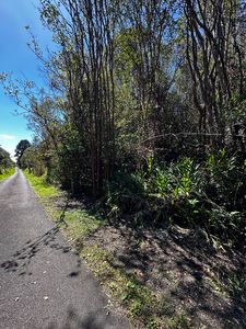 Road 5, Volcano, HI, 96785