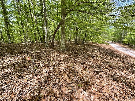5th image of Fort Mitchell Rd