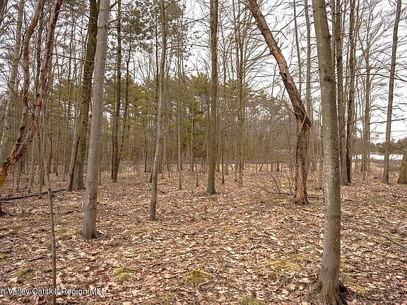 5th image of Tbd Silver Spur Road W