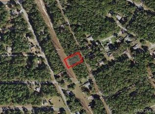254 N Savary Ave, Inverness, FL 34453