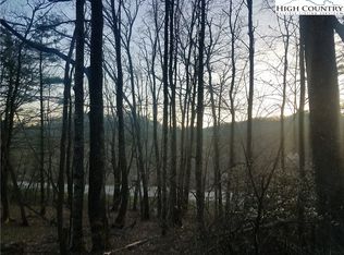 Tbd Millers Gap Hwy, Newland, NC 28657