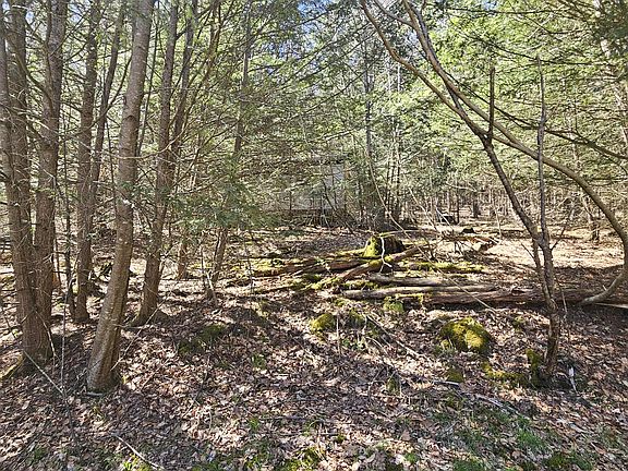 2nd image of 4 First Fork Rd
