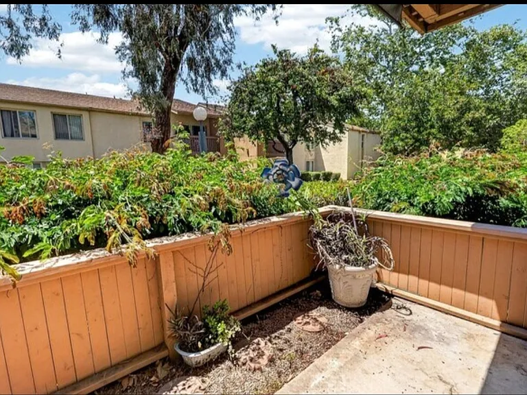 Back patio