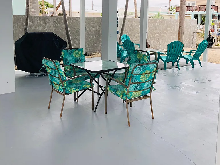 Ground level dining and seating area with gas bbq
