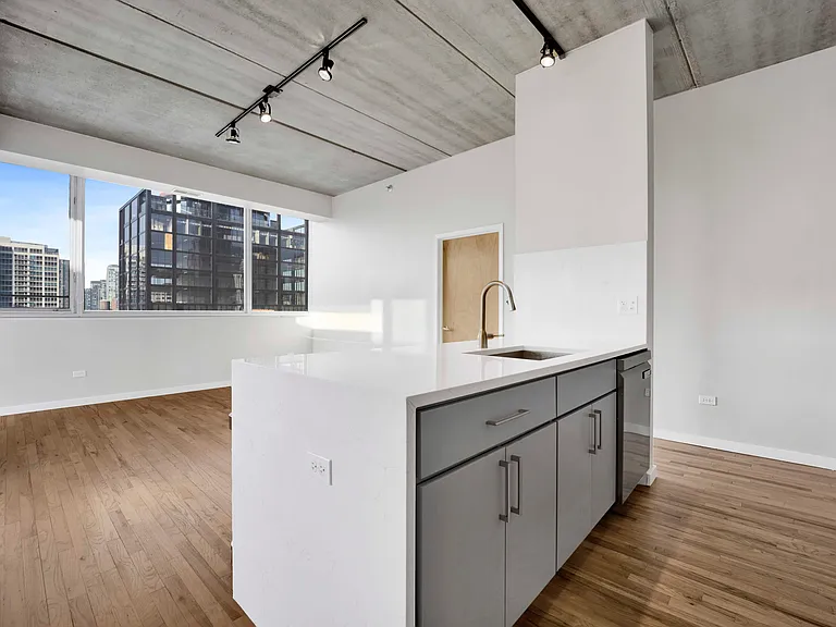 630 N Franklin St #1019 — Photo 9