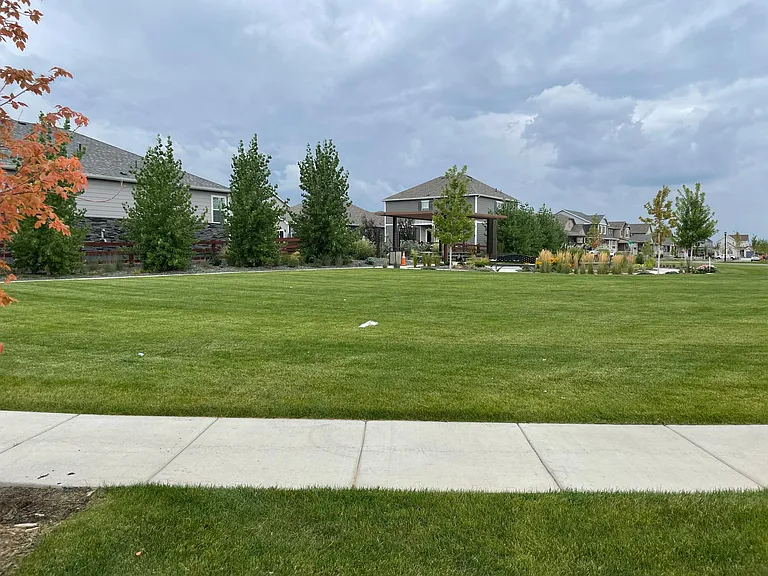 1955 Rose Petal Dr — Photo 6