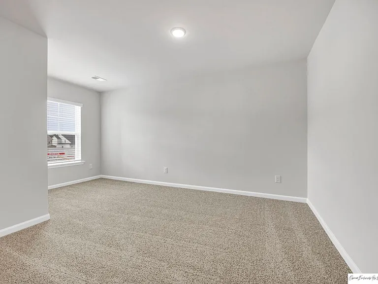 231 Sunny Hill Dr — Photo 23