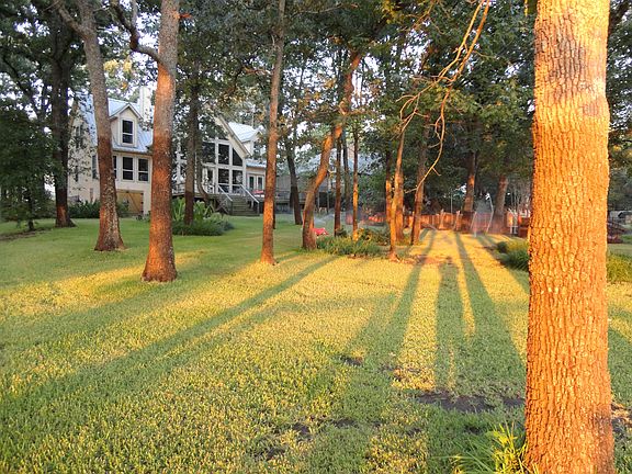 back yard at sunrise