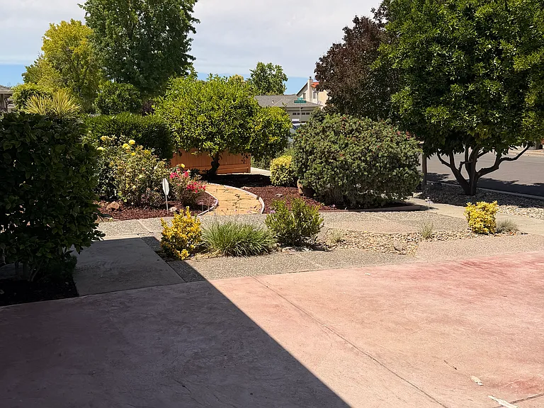 Jonquil Dr — Photo 30