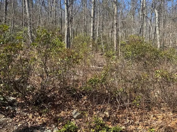 Fox Trl, Winchester, VA 22602