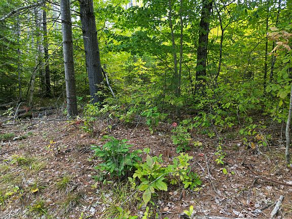 4th image of 599 North Road