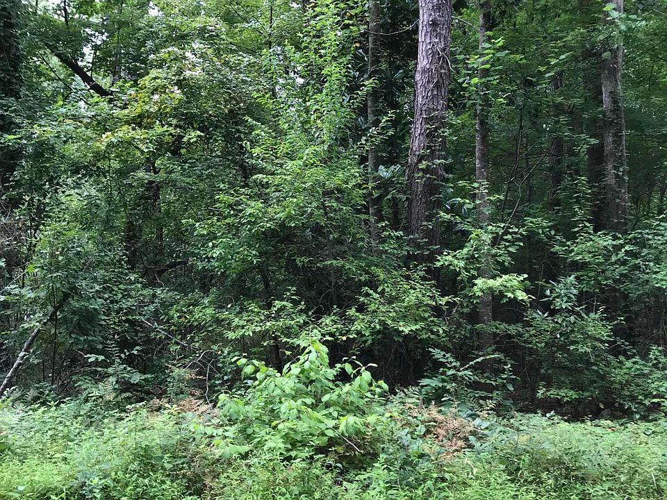 1st image of Lot 38 Cedar Lane